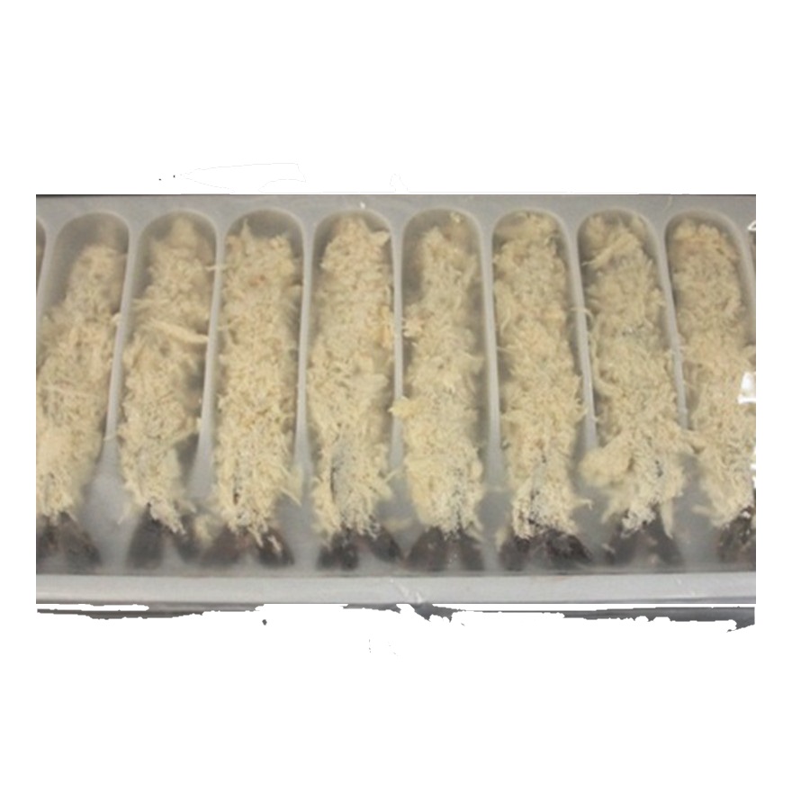 Ebi Fry 2L 10Pcs 250g | 2L 日式炸虾 250g