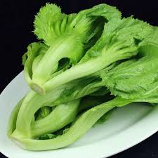 Kai Choi | 新鲜 芥菜