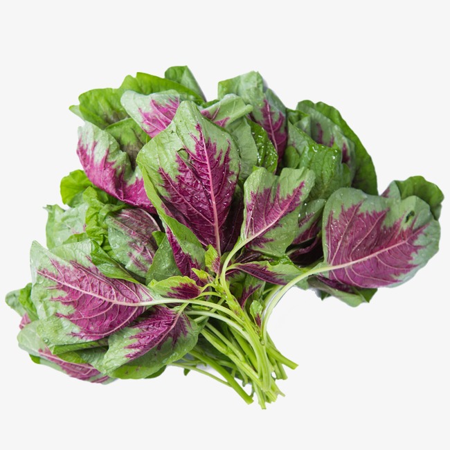 Red Hingchoi 1kg | 新鲜 红苋菜 1kg
