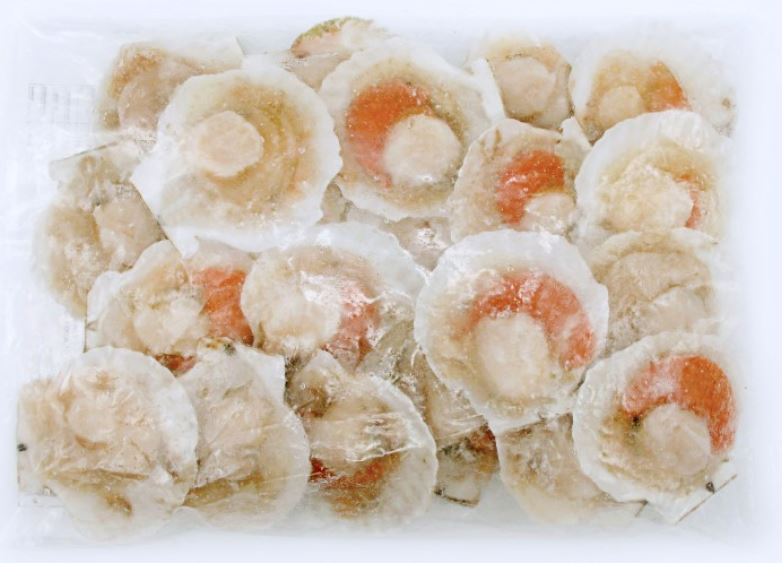 Scallop with half shell 750g | 扇贝 （半壳）750g