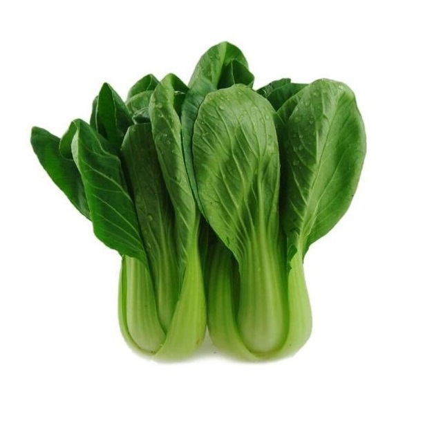 Shanghai Pak Choi | 新鲜 上海唐菜