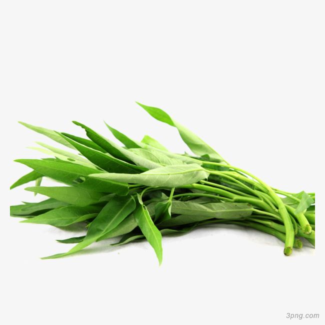 Water Spinach / Kang Kung 1kg | 新鲜 空心菜 1kg