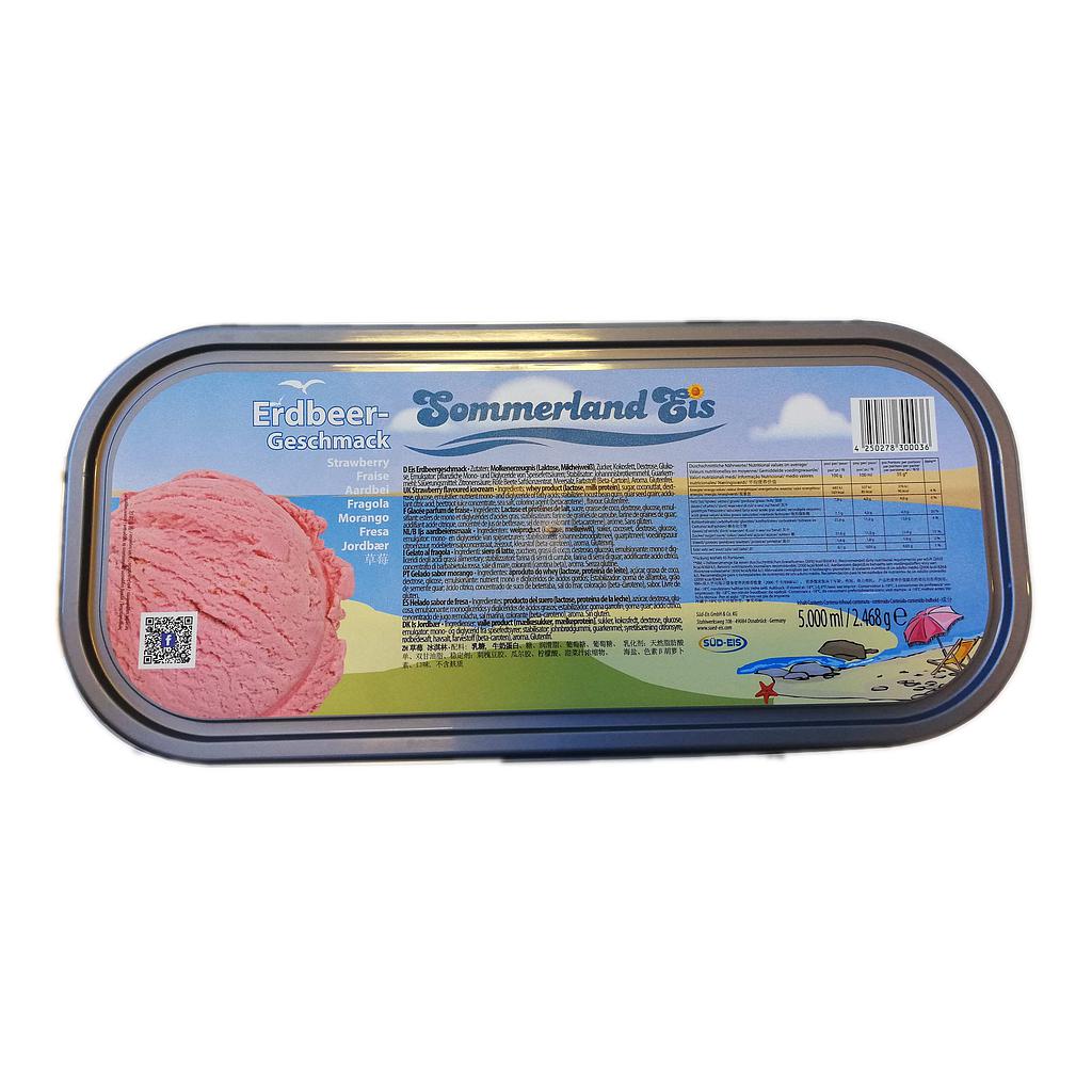 [Strawberry] Ice Cream 5L | 德国 草莓味 冰淇淋 5L