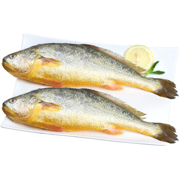 Asian Choice Yellow Croaker 800g | 小黄鱼 800g