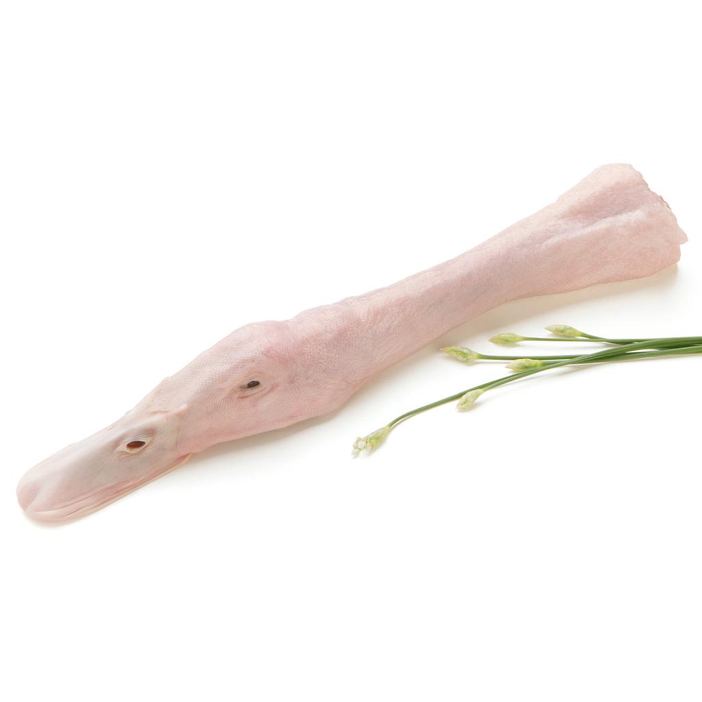 Duck Head 10kg | 鸭头  10kg