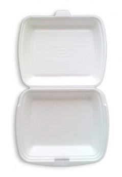 Foam Container L (1 part) 125Pcs/bag | 泡沫外卖盒(大)/ 条