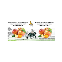 GC Peaches in Slices 3000g*6 | 佳禾 黄桃 / 箱