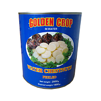 GC Water Chestnuts in Slices 2950g*6 | 马蹄片 / 箱