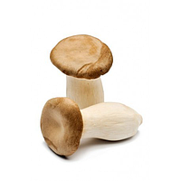 King oyster mushroom 100g  | 新鲜 杏鲍菇 100g