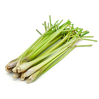 Lemon grass (whole) | 新鲜 香茅 (整条)