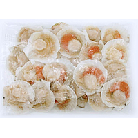 Scallop with half shell 750g | 扇贝 （半壳）750g