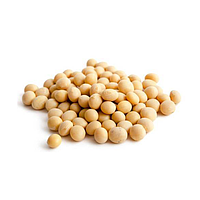Soyabean 25kg | 大包黄豆 25kg