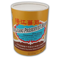 YJ Preserved Black Bean 500g | 阳江豆豉 500g