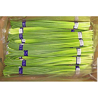Garlic sprout 200g | 新鲜 蒜苔 200g