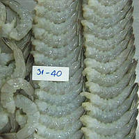 31/40 PD Shrimp with Tail 1.80kg | 31/40 1.80kg 虾仁 (带尾巴) 1.8kg