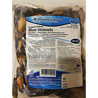 Blue Mussel cooked 1kg | 熟青口 1kg